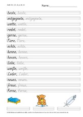 DSS_2S_Bu_e_Nr_08.pdf